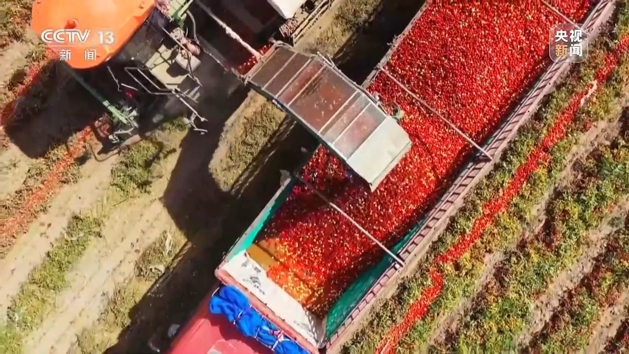 深耕科技沃土 培植智慧農(nóng)業(yè)——有機稻谷種植研發(fā)之路