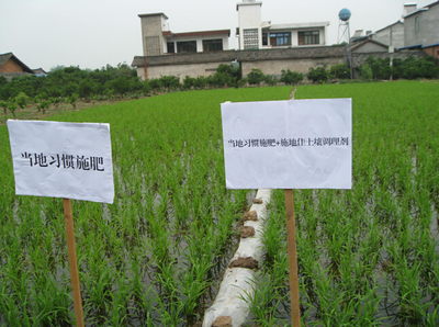 施地佳 突破傳統，以創新科技引領有機稻谷種植與土壤改良新篇章
