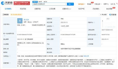 科大訊飛拓展業務版圖，安徽新設兩家軟件開發公司